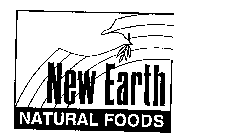 NEW EARTH NATURAL FOODS