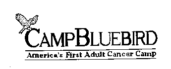 CAMP BLUEBIRD AMERICA'S FIRST ADULT CANCER CAMP