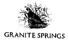 GRANITE SPRINGS