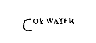 JOY WATER