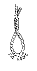 THE NOOSE