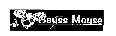 GAUSS MOUSE