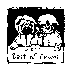 BEST OF CHUMS