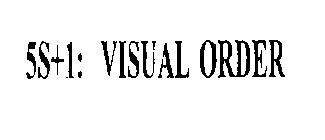 5S+1: VISUAL ORDER