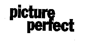 PICTURE PERFECT