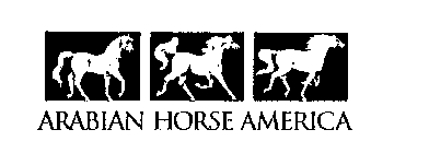 ARABIAN HORSE AMERICA