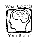 WHAT COLOR IS YOUR BRAIN? ORANGE YELLOW GREEN BLUE