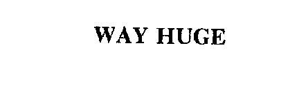 WAY HUGE