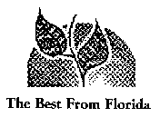 THE BEST FROM FLORIDA