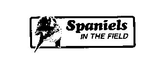 SPANIELS IN THE FIELD