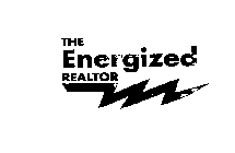 THE ENERGIZED REALTOR