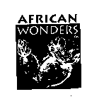 AFRICAN WONDERS