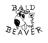 BALD BEAVER