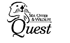 SEA OTTER & WILDLIFE QUEST