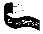 NOW WE'RE WINGING IT!