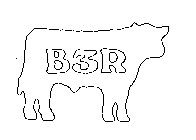 B3R