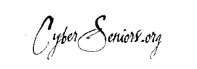 CYBER SENIORS.ORG