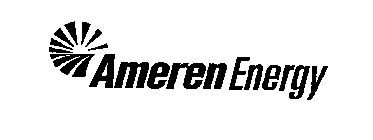 AMEREN ENERGY