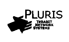 PLURIS TERABIT NETWORK SYSTEMS