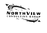 NORTHVIEW CONSULTING GROUP