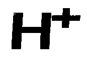 H+