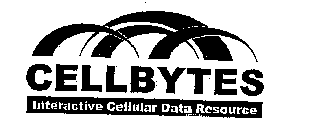 CELLBYTES INTERACTIVE CELLULAR DATA RESOURCES