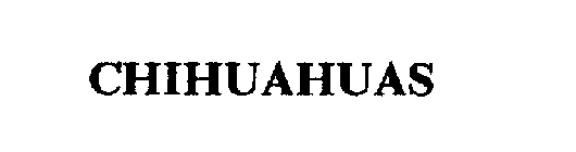CHIHUAHUAS