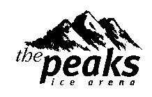 THE PEAKS ICE ARENA