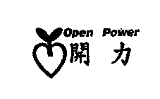 OPEN POWER