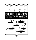 BLUE LAKES RAINBOW TROUT