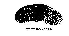 WALLY THE WOOLLY WORM
