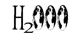 H2000