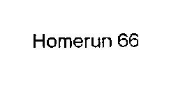 HOMERUN 66