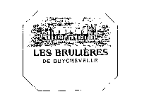 LES BRULIERES DE BEYCHEVELLE