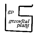 GP GEROVITAL PLANT