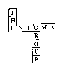 THE ENIGMA GROUP