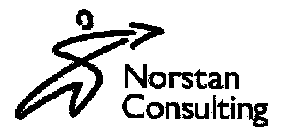 NORSTAN CONSULTING