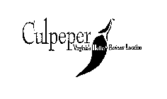 CULPEPER - VIRGINIA'S HOTTEST BUSINESS LOCATION