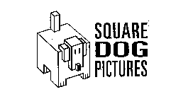 SQUARE DOG PICTURES
