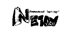 NETOY.COM PRONOUNCED: 
