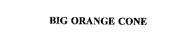 BIG ORANGE CONE