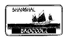 SHANGHAI BROCCOLI