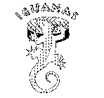 IGUANAS