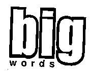 BIG WORDS