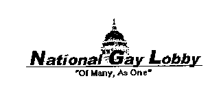 NATIONAL GAY LOBBY 