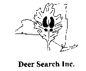 DEER SEARCH INC.