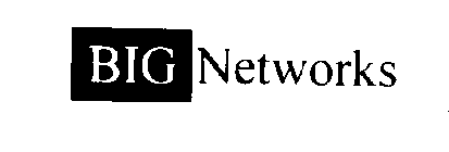 BIGNETWORKS