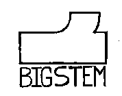 BIGSTEM