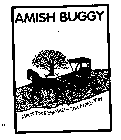 AMISH BUGGY MADE THE RIGHT WAY - THE AMISH WAY