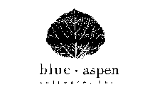 BLUE ASPEN SOFTWARE, INC.